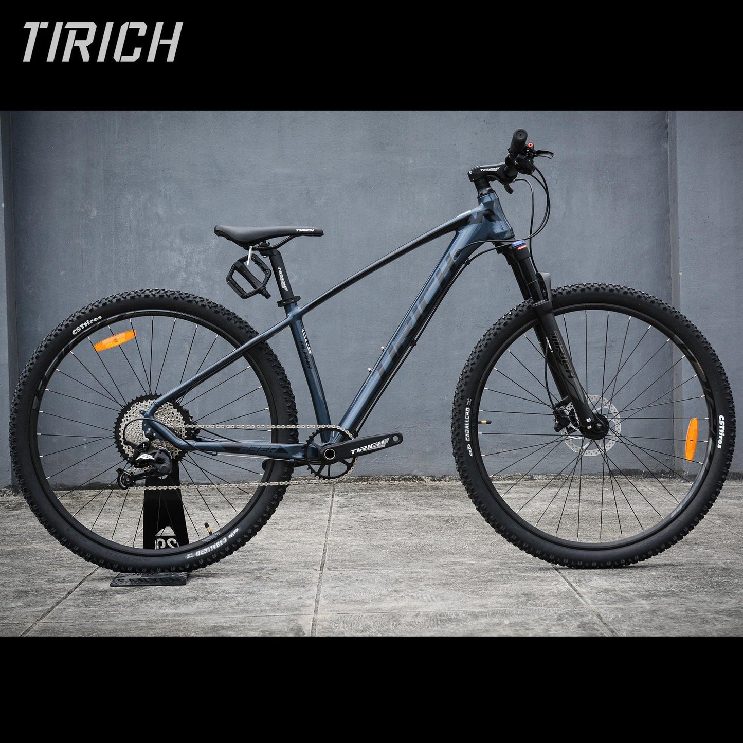 Tirich Alpha Mountain Bike 29er 13-Speed MTB - Gloss Gray